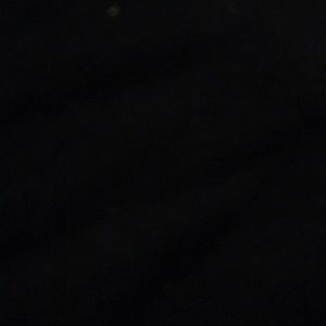 Meet your Posher, Rayquana